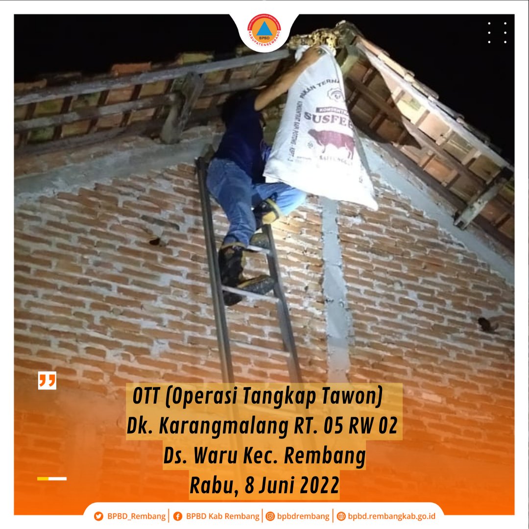 Operasi Tangkap Tawon di 2 Lokasi, Sampai Harus Memutus Aliran Listrik Sementara